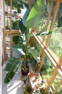 Schlenz Wintergarten Bubenreuth